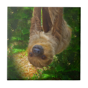 Carreau Les cadeaux de Sloth Rainforest