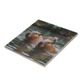 Carreau Les capybaras nagent dans la rivière, (Côté)