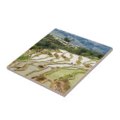 Carreau Les célèbres terrasses de riz yuanyang - Yunnan, C (Côté)