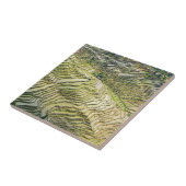 Carreau Les célèbres terrasses de riz yuanyang - Yunnan, C (Côté)