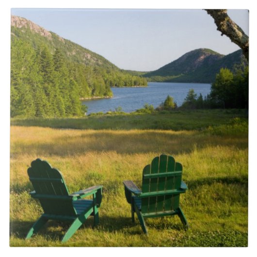 Carreau Les chaises Adirondack sur la pelouse du Jourdain (Devant)