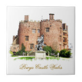 CARREAU LES CHÂTEAUX BIEN ÉQUIPÉS (Devant)