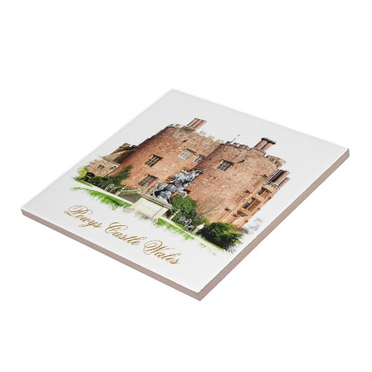 CARREAU LES CHÂTEAUX BIEN ÉQUIPÉS (Côté)