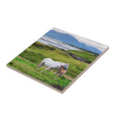 Carreau Les chevaux de Connemara | Galway, Irlande (Côté)