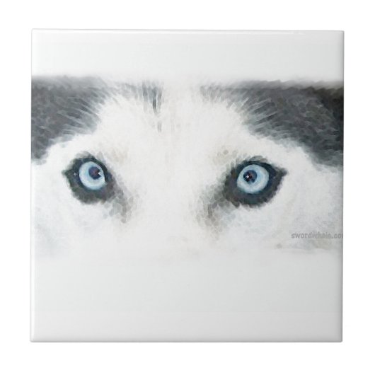 Carreau Les chiens observés par bleu peuvent voir le vent (Devant)