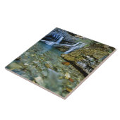 Carreau Les chutes Cameron dans le parc national des Lacs- (Côté)