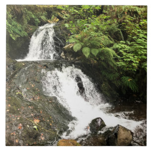Carreau Les chutes de Shepperd's Dell, OR