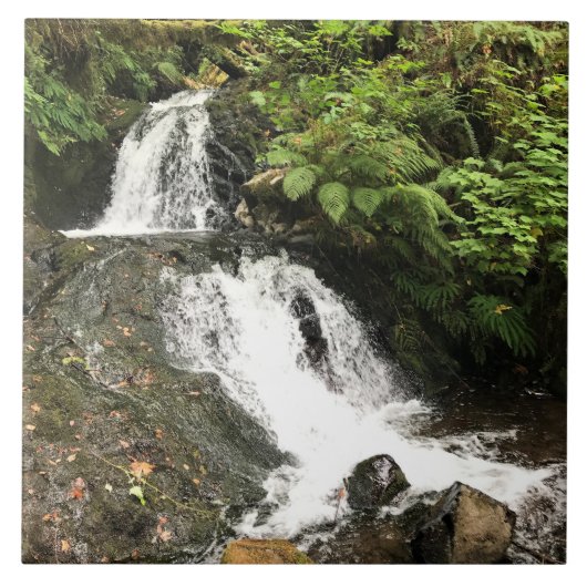 Carreau Les chutes de Shepperd's Dell, OR (Devant)