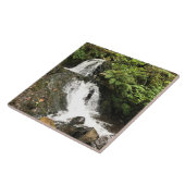 Carreau Les chutes de Shepperd's Dell, OR (Côté)