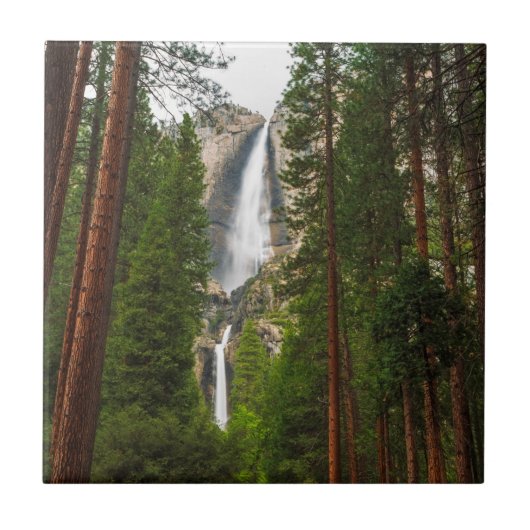 Carreau Les chutes de Yosemite dans la forêt (Devant)