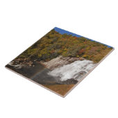 Carreau Les chutes Rainbow dans le parc national des Gorge (Côté)