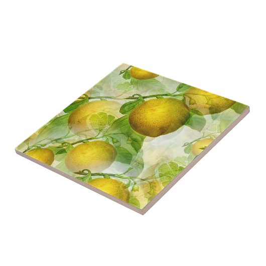 Carreau Les citrons (Côté)