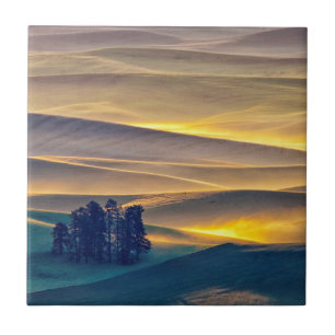 Carreau Les collines de Rolling au lever du soleil  WA