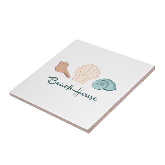 Carreau Les coquillages de plage (Côté)