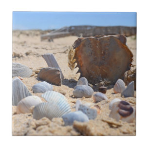 Carreau Les coquillages sur la plage by Shirley Taylor