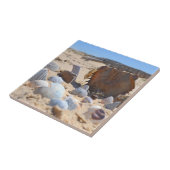 Carreau Les coquillages sur la plage by Shirley Taylor (Côté)