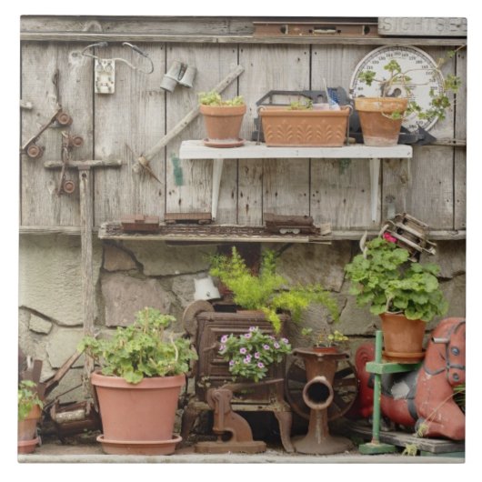 Carreau Les décorations sur la clôture en bois, île de Cat (Devant)