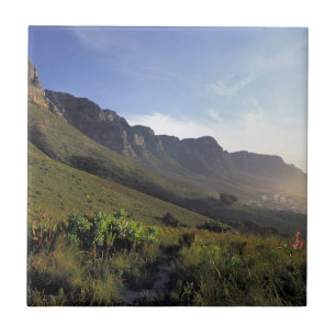 Carreau Les Douze Apôtres, Le Cap, Cap-Occidental