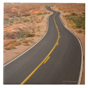 Carreau Les Etats-Unis, Nevada, vallée du feu, route de
