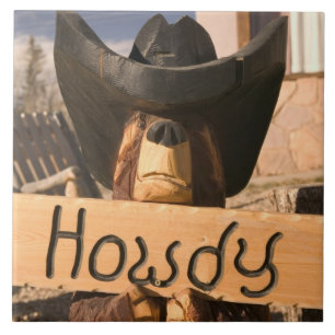 Carreau Les Etats-Unis, Nouveau Mexique, nid d'Eagles :