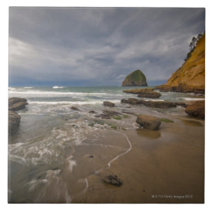 Carreau Les Etats-Unis, Orégon, comté de Tillmook, plage