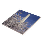 Carreau Les Etats-Unis, Washington DC. Festival de fleurs (Côté)