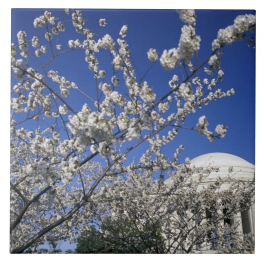 Carreau Les Etats-Unis, Washington DC. Festival et 2 de (Devant)