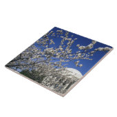 Carreau Les Etats-Unis, Washington DC. Festival et 2 de (Côté)