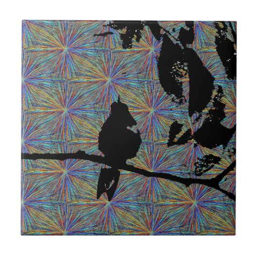 Carreau Les feux d'artifice des colibris (Devant)