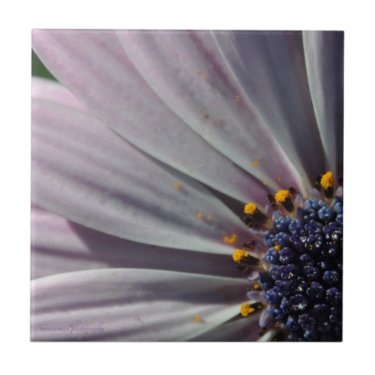 Carreau Les fleurs à l'intérieur (Devant)