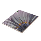 Carreau Les fleurs à l'intérieur (Côté)