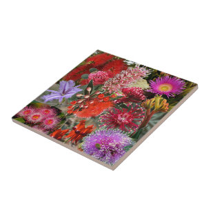 Carreau Les fleurs sauvages australiennes