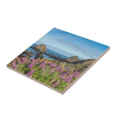 Carreau Les Fleurs sauvages Lupins Couvrent Les Collines (Côté)