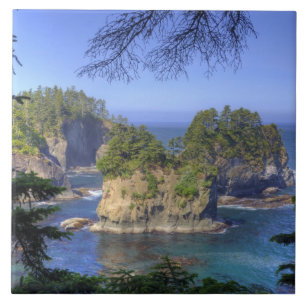 Carreau Les fonds marins, les terres tribales de la nation