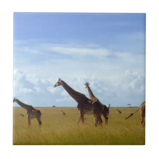 Carreau Les Giraffes du Parc National de Nairobi (Devant)