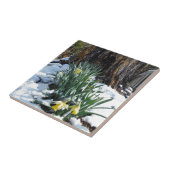 Carreau Les jonquilles jaunes dans la neige (Côté)