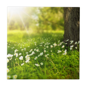 Carreau Les Joys du printemps
