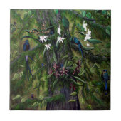 Carreau Les jungles de Tikal (Devant)