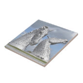 Carreau les Kelpies, parc d'hélice, Falkirk, Ecosse (Côté)