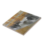 Carreau Les lois de la compassion (Côté)