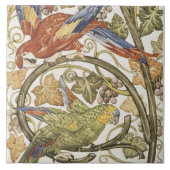 Carreau Les perroquets de Morgan sur la collection de grap (Devant)