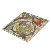 Carreau Les perroquets de Morgan sur la collection de grap (Côté)