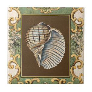 Carreau Les petites coquilles de sirène