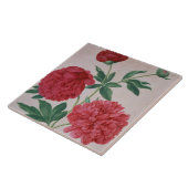 Carreau Les pivoines, plaquent 46 du Florilegium de Nassau (Côté)