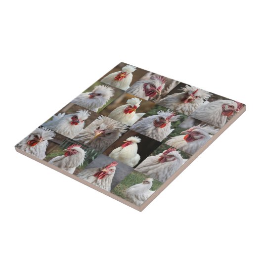 Carreau "Les plumes en vedette : un portrait de poulet bla (Côté)