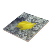 Carreau Les poissons jaunes de Tang (Côté)