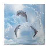 Carreau Les Rêves Des Dauphins (Devant)