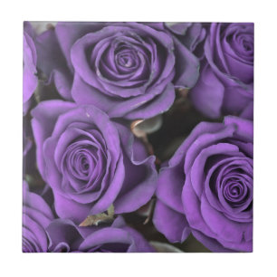 Carreau les roses de rose de pourpre de bouquet datent le
