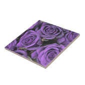 Carreau les roses de rose de pourpre de bouquet datent le (Côté)