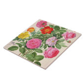 Carreau Les roses, plaquent 4 du Florilegium de Nassau (la (Côté)